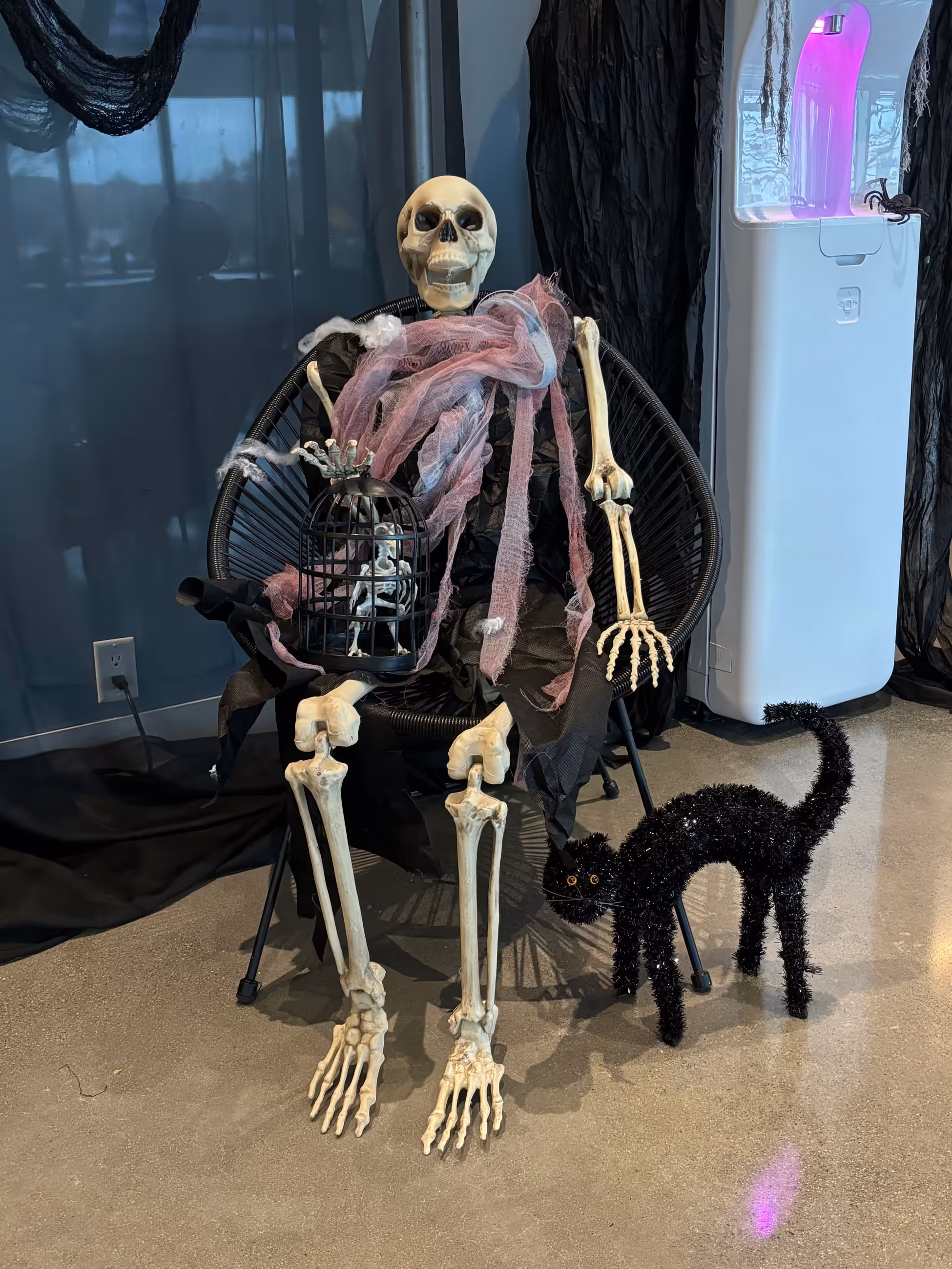 Skeleton prop birdcage black cat halloween decor