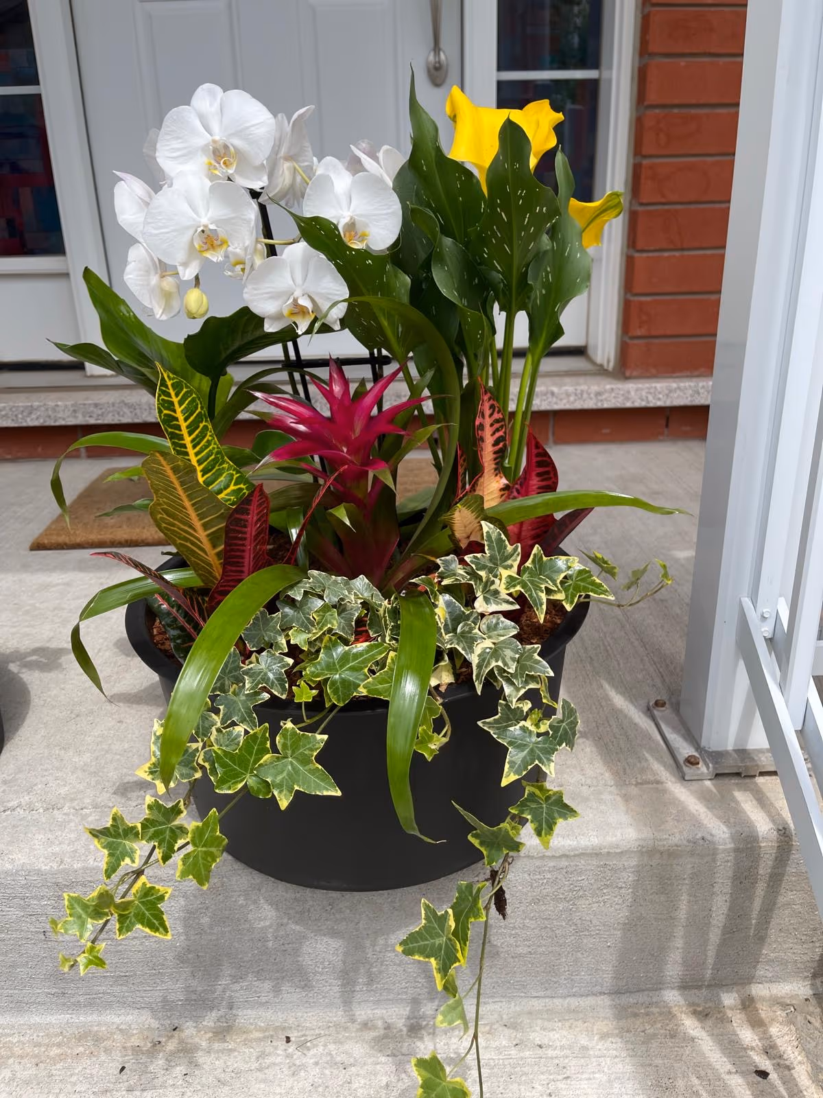 Black planter with a white orchid, yellow calla lily, pink bromeliad, croton, and trailing ivy