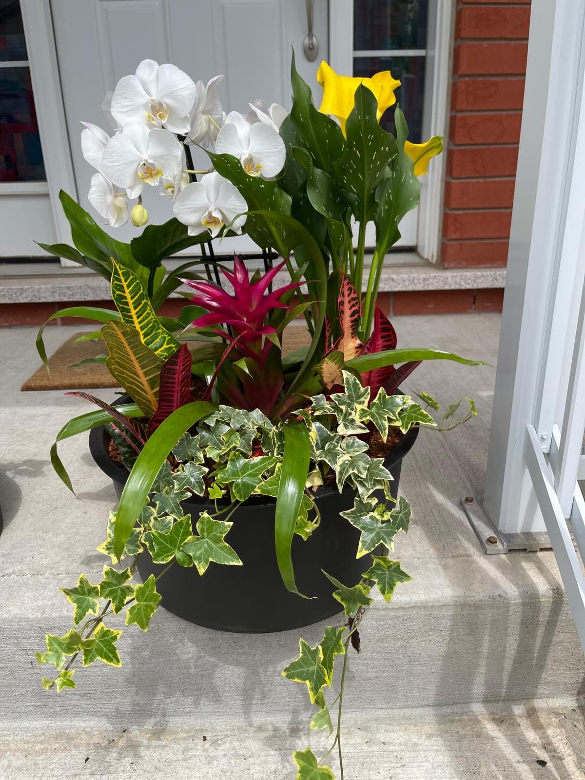 Black planter with a white orchid, yellow calla lily, pink bromeliad, croton, and trailing ivy